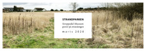 Strandeng med tekst "Strandparken. Kroppedal Museum graver på strandengen. Marts 2020"